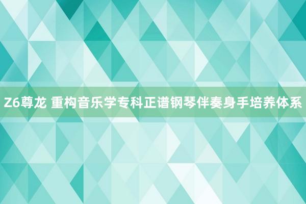 Z6尊龙 重构音乐学专科正谱钢琴伴奏身手培养体系