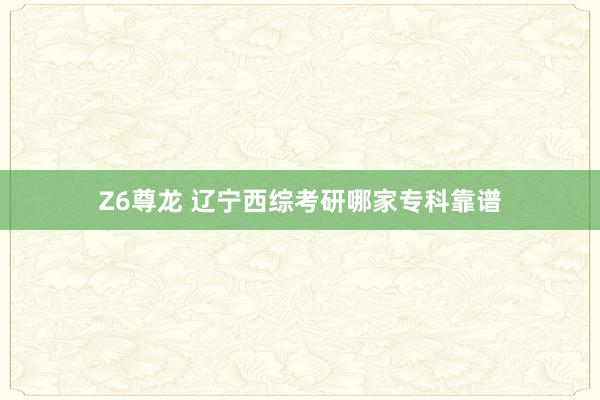 Z6尊龙 辽宁西综考研哪家专科靠谱