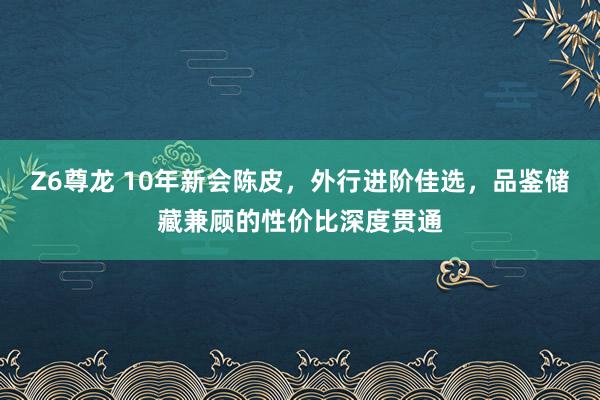 Z6尊龙 10年新会陈皮，外行进阶佳选，品鉴储藏兼顾的性价比深度贯通