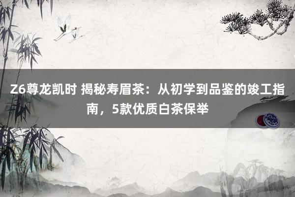 Z6尊龙凯时 揭秘寿眉茶：从初学到品鉴的竣工指南，5款优质白茶保举