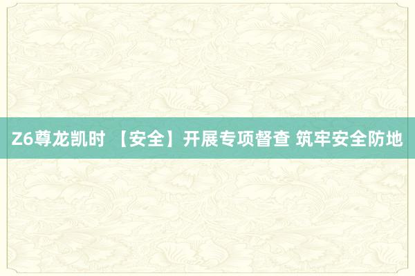 Z6尊龙凯时 【安全】开展专项督查 筑牢安全防地