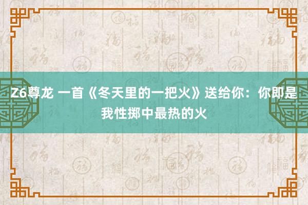 Z6尊龙 一首《冬天里的一把火》送给你：你即是我性掷中最热的火