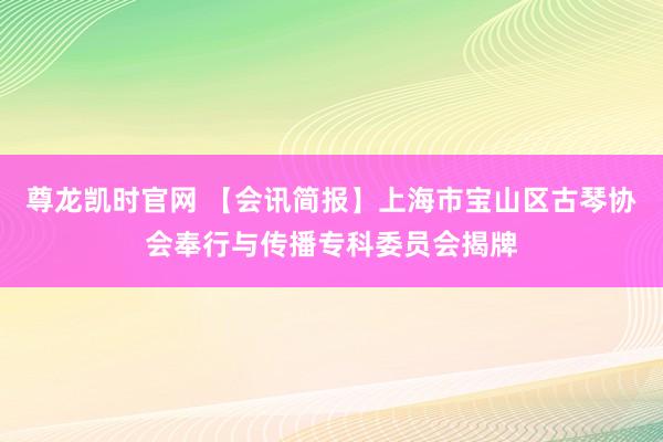 尊龙凯时官网 【会讯简报】上海市宝山区古琴协会奉行与传播专科委员会揭牌