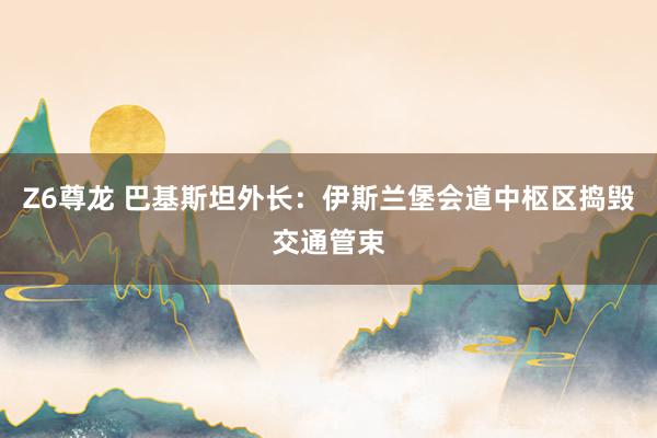 Z6尊龙 巴基斯坦外长：伊斯兰堡会道中枢区捣毁交通管束