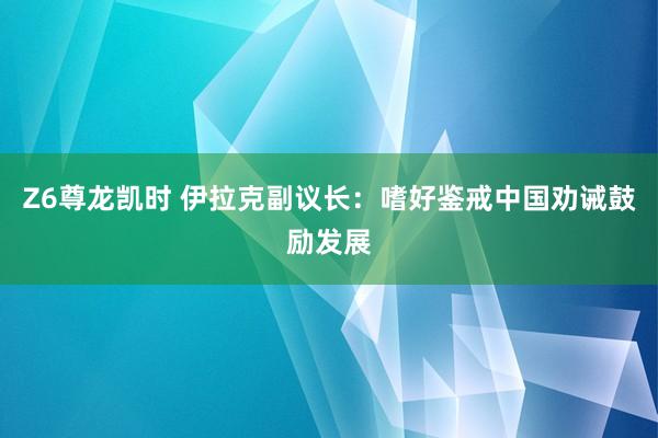 Z6尊龙凯时 伊拉克副议长：嗜好鉴戒中国劝诫鼓励发展