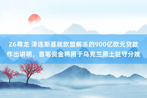 Z6尊龙 泽连斯基就欧盟解冻的900亿欧元贷款作出讲明，首笔资金将用于乌克兰原土驻守分娩