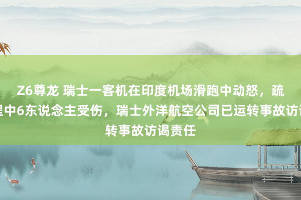Z6尊龙 瑞士一客机在印度机场滑跑中动怒，疏散历程中6东说念主受伤，瑞士外洋航空公司已运转事故访谒责任