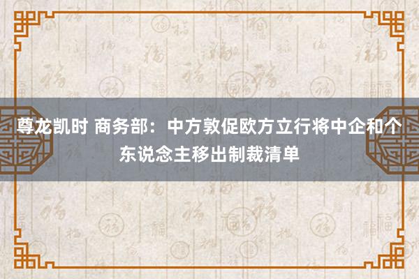 尊龙凯时 商务部：中方敦促欧方立行将中企和个东说念主移出制裁清单