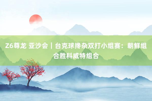 Z6尊龙 亚沙会｜台克球搀杂双打小组赛：朝鲜组合胜科威特组合