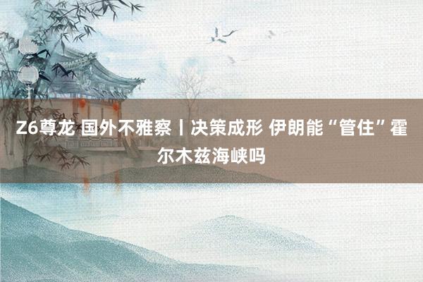 Z6尊龙 国外不雅察丨决策成形 伊朗能“管住”霍尔木兹海峡吗