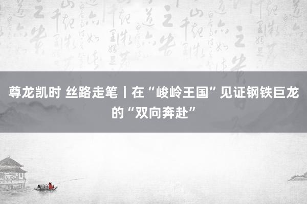 尊龙凯时 丝路走笔丨在“峻岭王国”见证钢铁巨龙的“双向奔赴”