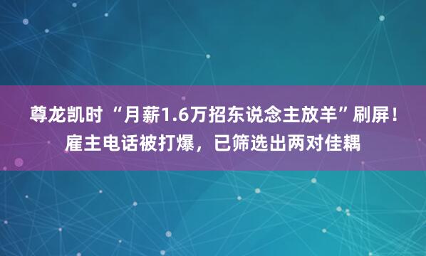 尊龙凯时 “月薪1.6万招东说念主放羊”刷屏！雇主电话被打爆，已筛选出两对佳耦