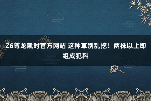 Z6尊龙凯时官方网站 这种草别乱挖！两株以上即组成犯科