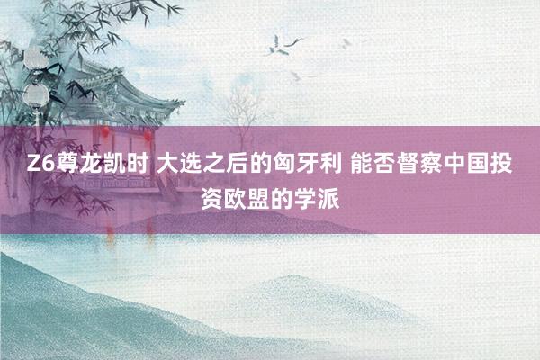 Z6尊龙凯时 大选之后的匈牙利 能否督察中国投资欧盟的学派