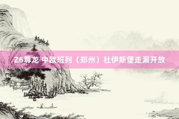Z6尊龙 中欧班列（郑州）杜伊斯堡走漏开放