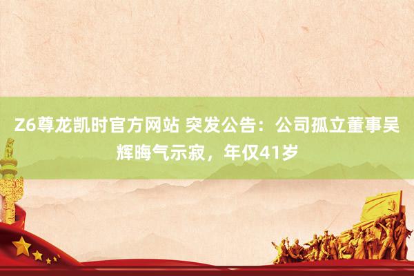Z6尊龙凯时官方网站 突发公告：公司孤立董事吴辉晦气示寂，年仅41岁