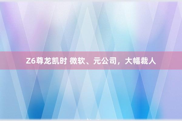 Z6尊龙凯时 微软、元公司，大幅裁人