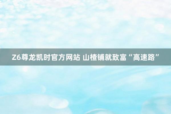 Z6尊龙凯时官方网站 山楂铺就致富“高速路”