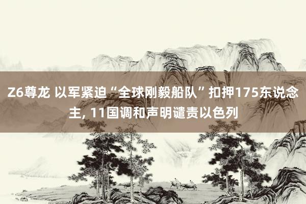 Z6尊龙 以军紧迫“全球刚毅船队”扣押175东说念主， 11国调和声明谴责以色列