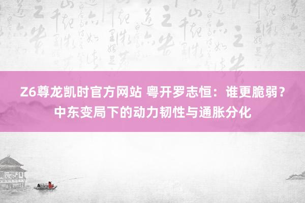 Z6尊龙凯时官方网站 粤开罗志恒：谁更脆弱？中东变局下的动力韧性与通胀分化