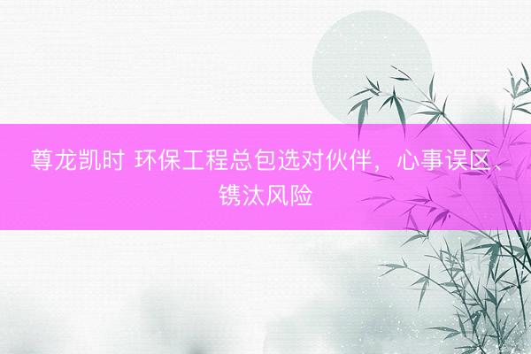 尊龙凯时 环保工程总包选对伙伴，心事误区、镌汰风险