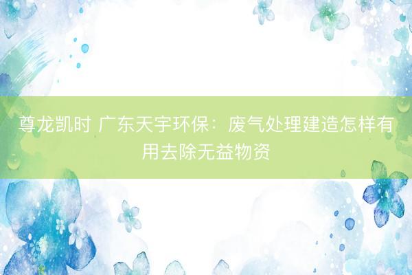 尊龙凯时 广东天宇环保：废气处理建造怎样有用去除无益物资