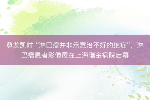 尊龙凯时 “淋巴瘤并非示意治不好的绝症”，淋巴瘤患者影像展在上海瑞金病院启幕