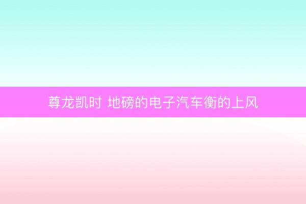 尊龙凯时 地磅的电子汽车衡的上风