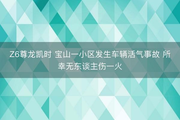 Z6尊龙凯时 宝山一小区发生车辆活气事故 所幸无东谈主伤一火